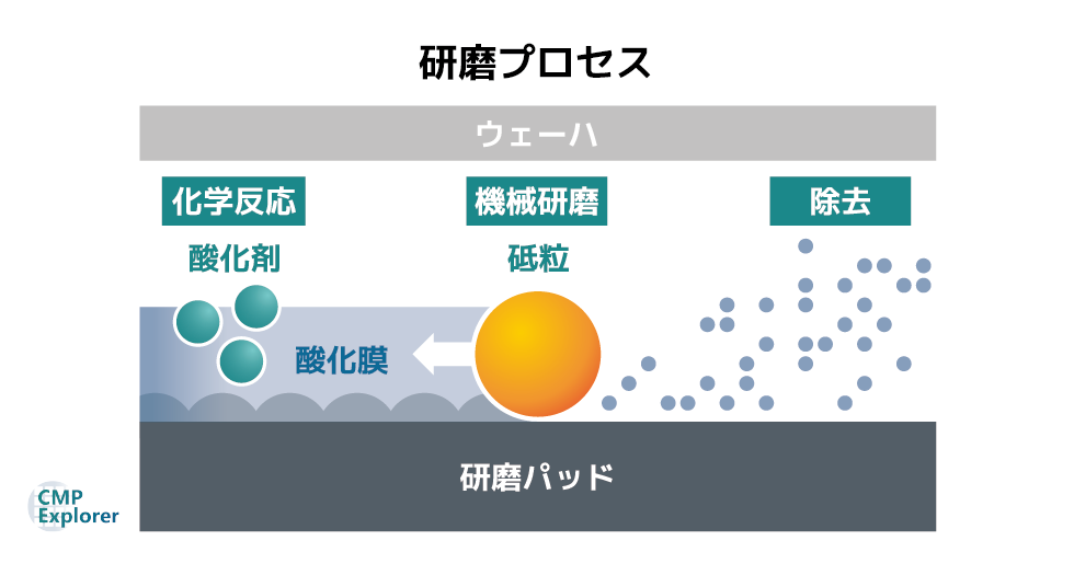 CMP装置の研磨のプロセスを示している画像